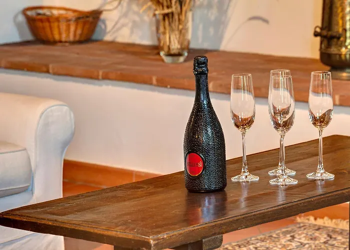 Farinata By Mamo * Florencja